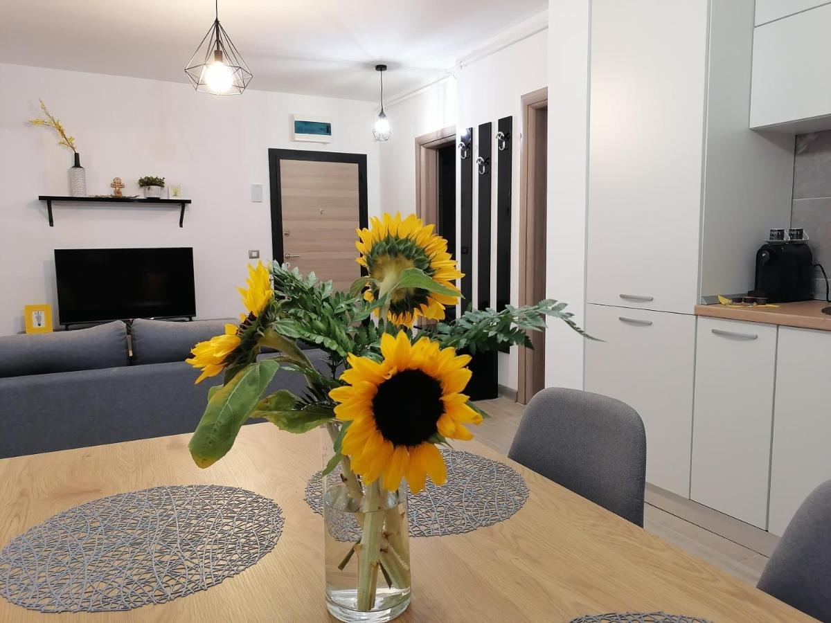 Alesea Ap-Alezzi Beach Resort Năvodari Екстериор снимка